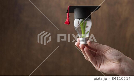close up hand holding light bulb with plant. High quality beautiful photo concept close up hand holding light bulb with plant. High quality beautiful photo concept 84110514