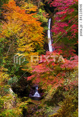 秩父華厳の滝【埼玉県】 84110646