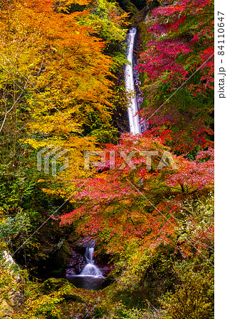 秩父華厳の滝【埼玉県】 84110647