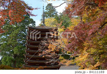 秋の談山神社　十三重塔　奈良県桜井市多武峰 84111169