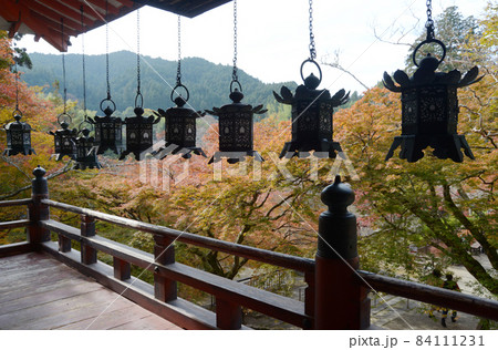 秋の談山神社　拝殿の釣り灯篭と紅葉　奈良県桜井市多武峰 84111231