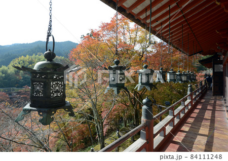 秋の談山神社 拝殿の釣り灯篭と紅葉 奈良県桜井市多武峰 秋の談山神社 拝殿の釣り灯篭と紅葉 奈良県桜井市多武峰 84111248