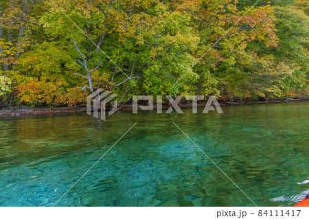 十和田湖の紅葉 84111417