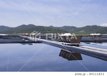 全羅南道 新安郡 塩田 84111831