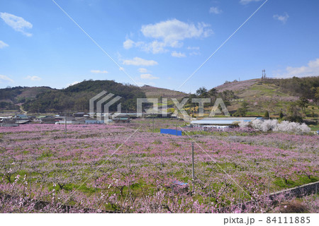 慶北 慶山市 変曲か 84111885