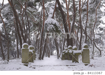 慶北 慶州市 陵 84113367