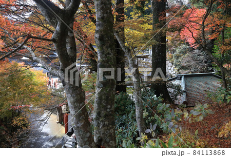 四国霊場第66番札所「雲辺寺」鐘楼側から見る本堂付近の紅葉 四国霊場第66番札所「雲辺寺」鐘楼側から見る本堂付近の紅葉 84113868