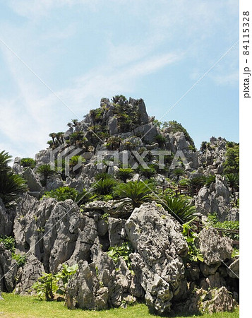 大石林山の景色(沖縄県国頭郡国頭村) 大石林山の景色(沖縄県国頭郡国頭村) 84115328