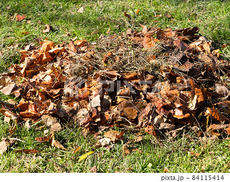 掃き集めた落ち葉 84115414