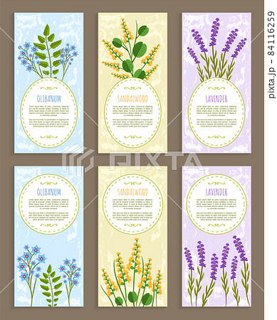 Olibanum Covers Collection Vector Illustration 84116259