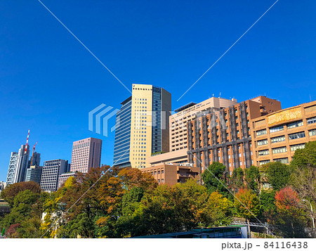 東京御茶ノ水・聖橋より眺める黄葉 84116438