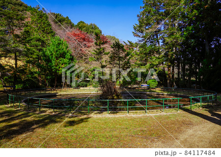 讃岐の金毘羅さん 静かな裏参道の紅葉（香川県琴平町） 84117484