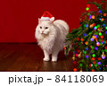 New Year, Christmas cat in Santa hat on background of a Christmas tree and lights 84118069