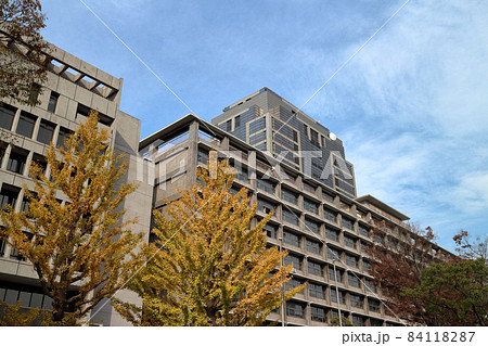 千葉県庁 84118287