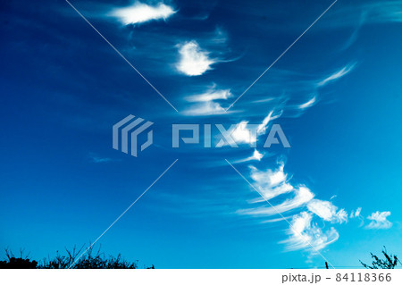 長島水辺のやすらぎパーク 長島水辺のやすらぎパーク 84118366