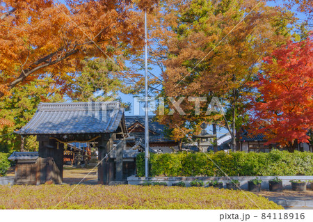 秋の松本神社 秋の松本神社 84118916