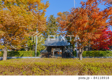 秋の松本神社 秋の松本神社 84118918
