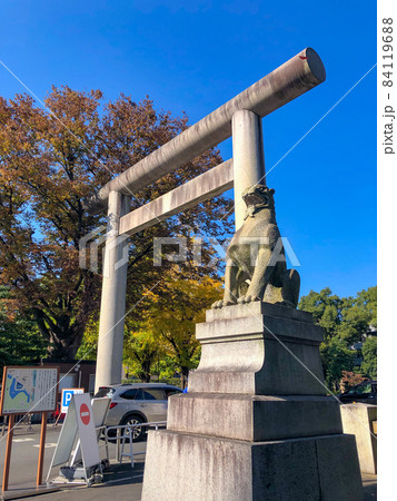 東京九段・黄葉の靖国神社 84119688