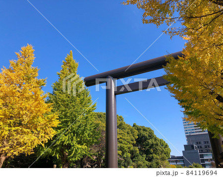 東京九段・黄葉の靖国神社 84119694