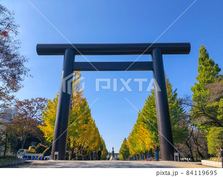 東京九段・黄葉の靖国神社 84119695