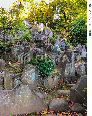 東京護国寺・護国寺の音羽富士 東京護国寺・護国寺の音羽富士 84120140
