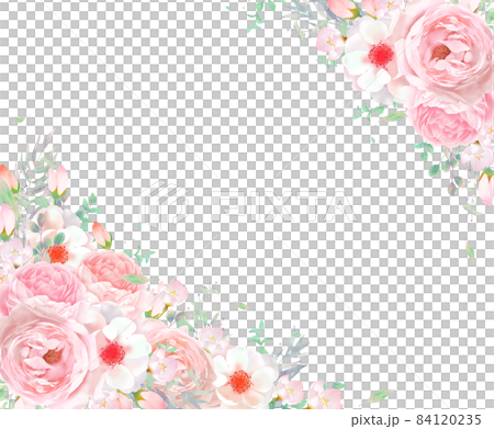 優しい色使いのピンク系のバラの花とリーフのフレームベクターイラスト素材のイラスト素材