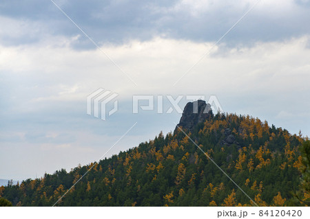 Panorama of the autumn forest against the blue sky with clouds. 84120420