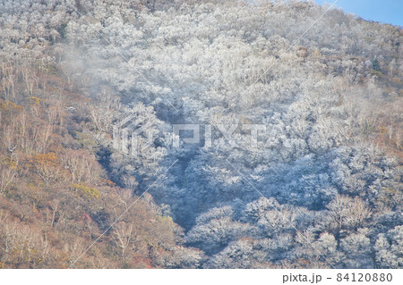 群馬県　赤城山の紅葉と樹氷 84120880