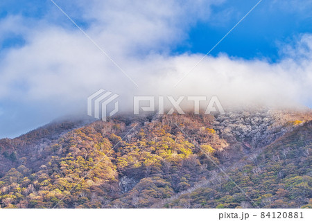 群馬県　赤城山の紅葉と樹氷 84120881