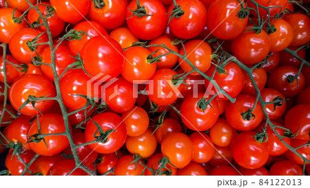 Lots of small and juicy scarlet cherry tomatoes on branches for sale in the farmers market 84122013