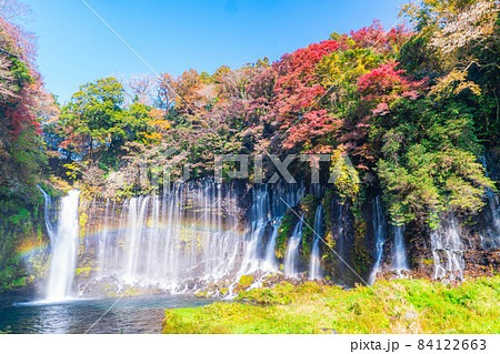 紅葉シーズンの白糸の滝と虹【静岡県】 84122663