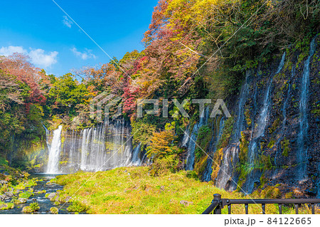 紅葉シーズンの白糸の滝と虹【静岡県】 紅葉シーズンの白糸の滝と虹【静岡県】 84122665