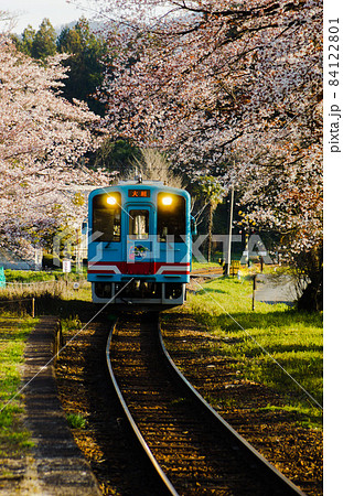 春の樽見鉄道の風景　谷汲口駅付近 84122801