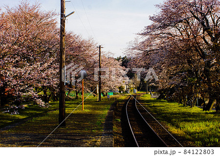 春の樽見鉄道の風景　谷汲口駅 84122803