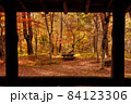 日本の紅葉 84123306