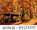 日本の紅葉 84123307