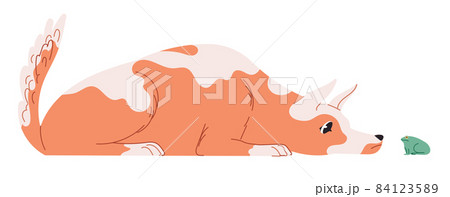 The dog lies and watches, sniffing the frog The dog lies and watches, sniffing the frog 84123589