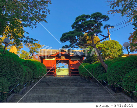 東京護国寺・護国寺の不老門 84123619