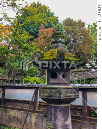東京上野・上野公園内の上野東照宮石燈篭の参道 東京上野・上野公園内の上野東照宮石燈篭の参道 84123687