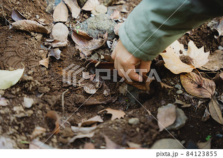 虫探しする子供 84123855