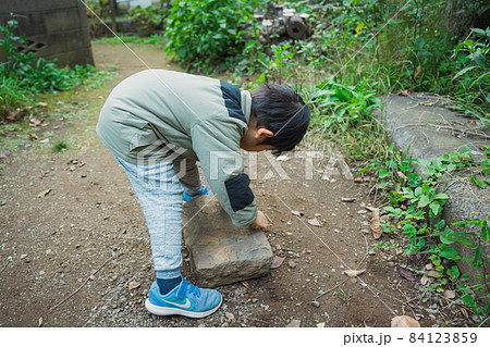 虫探しする子供 84123859