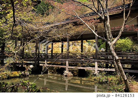 常照皇寺 常照皇寺 84126153