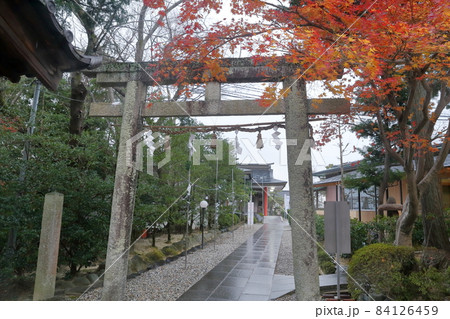 神社の鳥居（白山宮　愛知県 日進市） 84126459