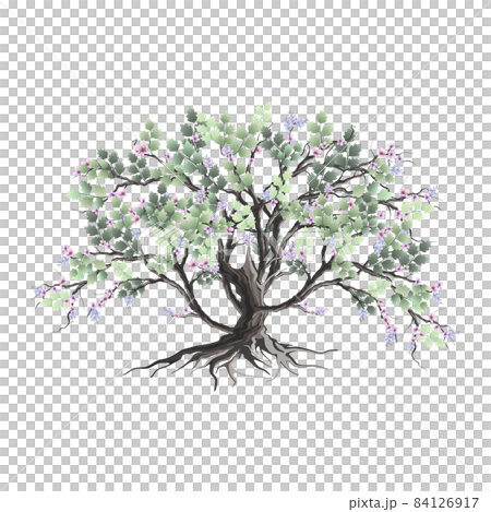 beautiful and elegant tree hand drawn 84126917