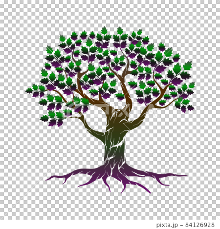 oak tree logo vector illustration 84126928