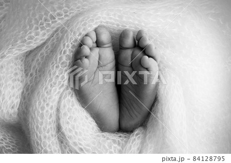 Legs, toes, feet and heels of a newborn. Wrapped in a white knitted blanket, wrapped. Macro photography, close-up. Black and white. 84128795