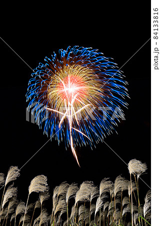 【秋イメージ】風に揺れるススキと打ち上げ花火。 84133816