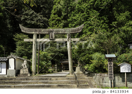 岩国 白山比咩神社 鳥居 山口県岩国市 岩国 白山比咩神社 鳥居 山口県岩国市 84133934
