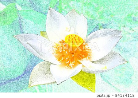 ハスの花香る癒しの窓辺 ハスの花香る癒しの窓辺 84134118