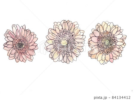 3つのガーベラの花の飾り 84134412